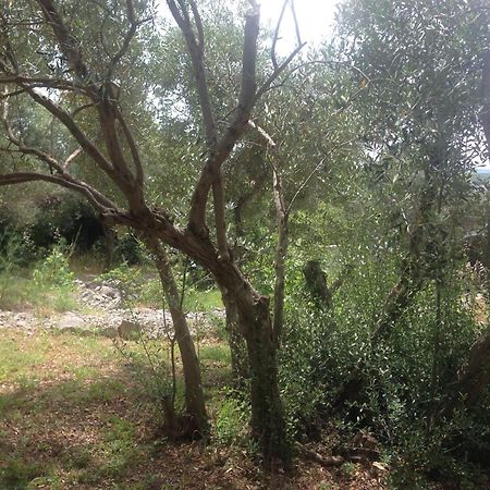 Lili Apartments, Sv Dunata 18 Kornić المظهر الخارجي الصورة